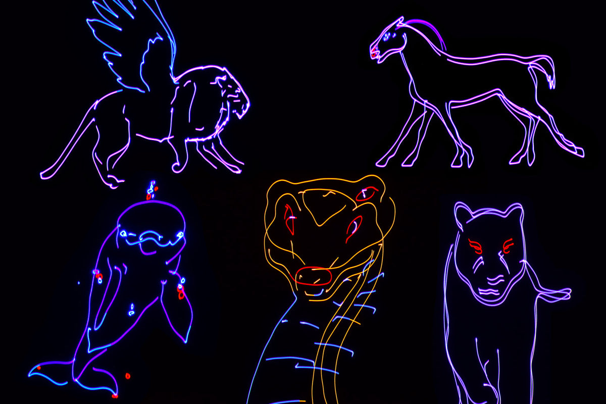 Citronic Animate Smart: inteligentny laser animacyjny RGB – zdjęcie 6