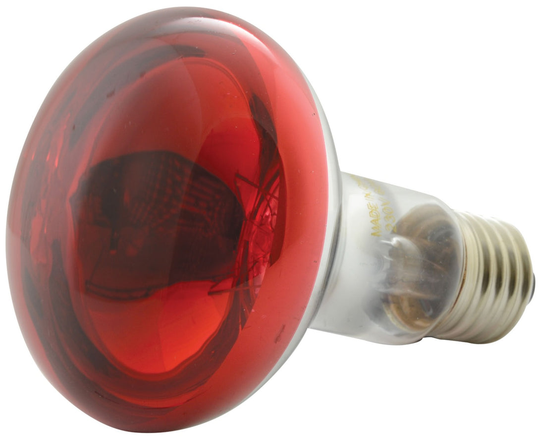 Lampa reflektorowa QTX R80 w kolorze czerwonym E27