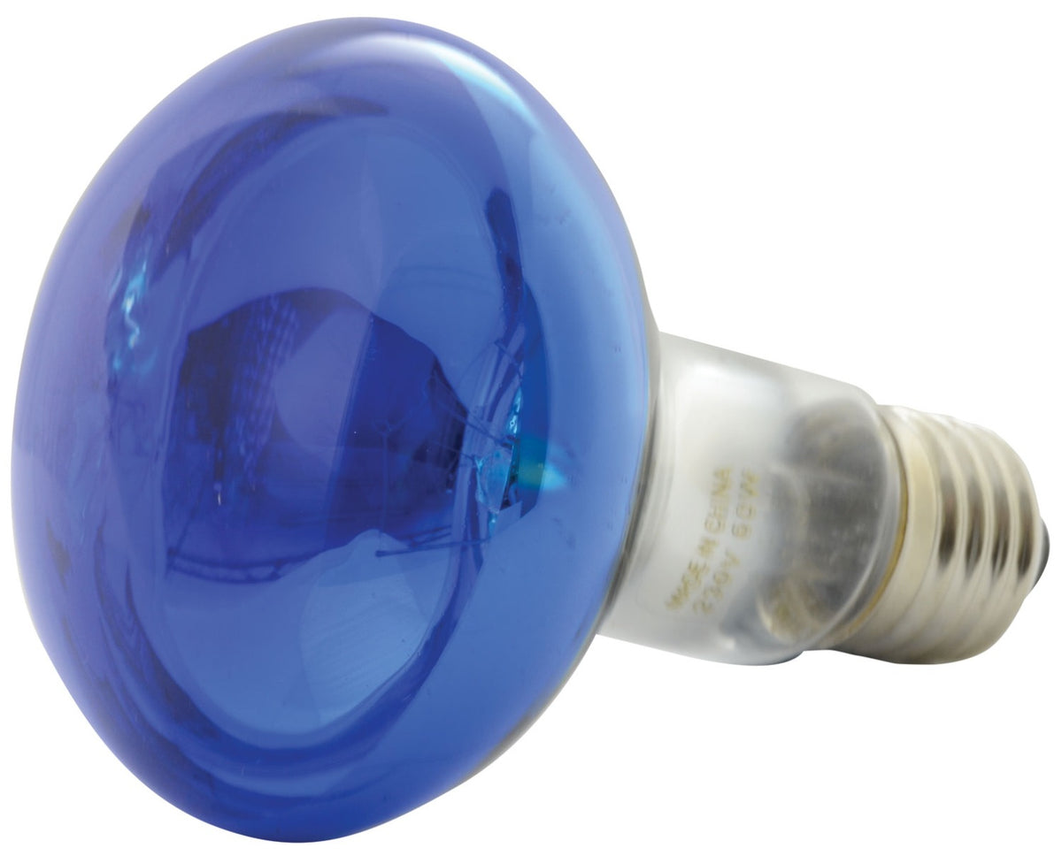 Lampa reflektorowa QTX R80 w kolorze niebieskim E27