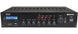 Wzmacniacz miksujący Adastra RM120D 100 V z DAB+ BT USB/SD – zdjęcie 2